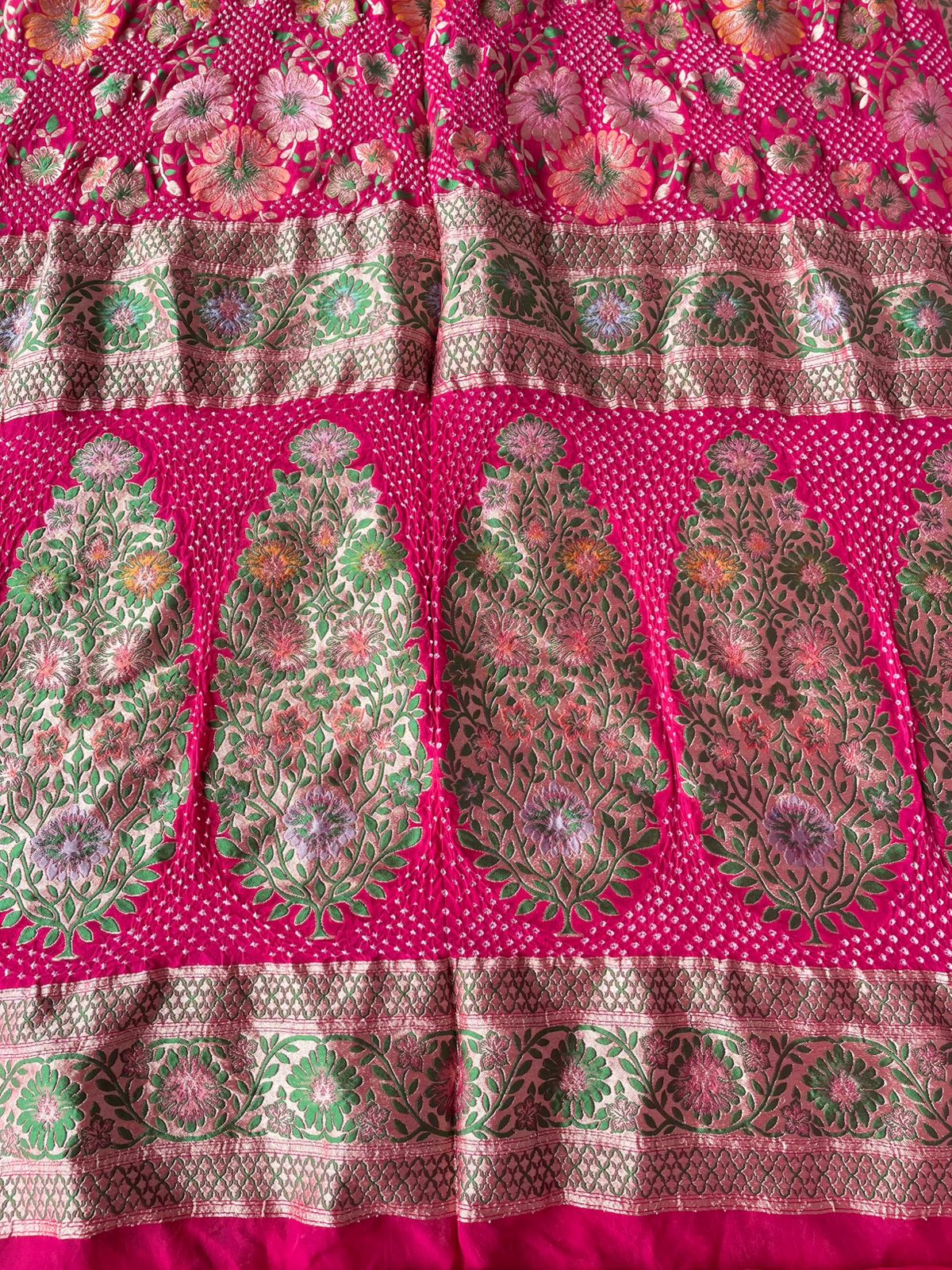 Ruhani - Enchanting Beauty Meenakari Motif Saree