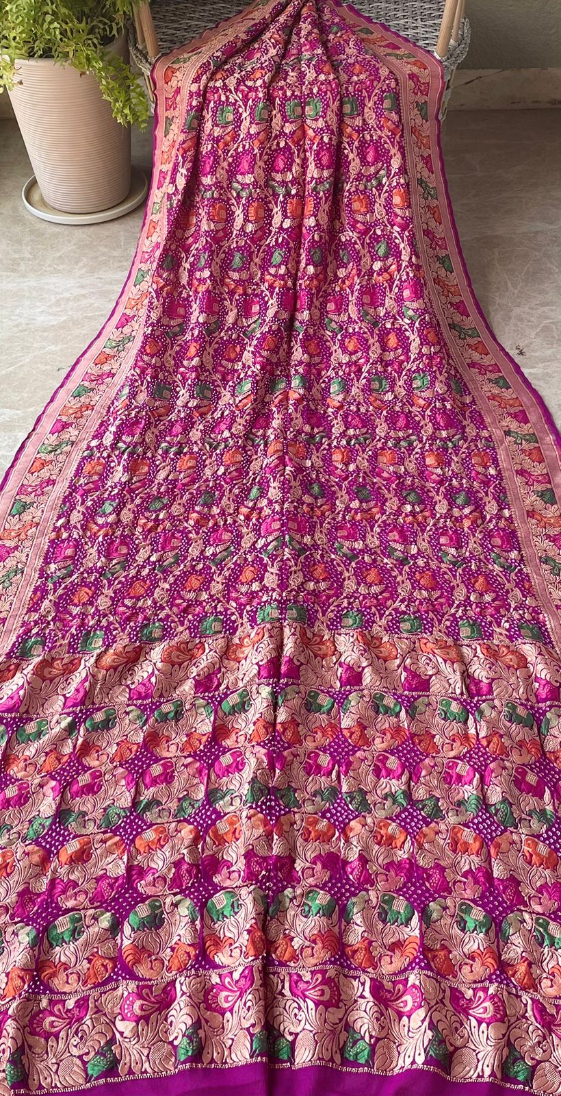 Amrita - 	Immortality Meenakari Motif Saree
